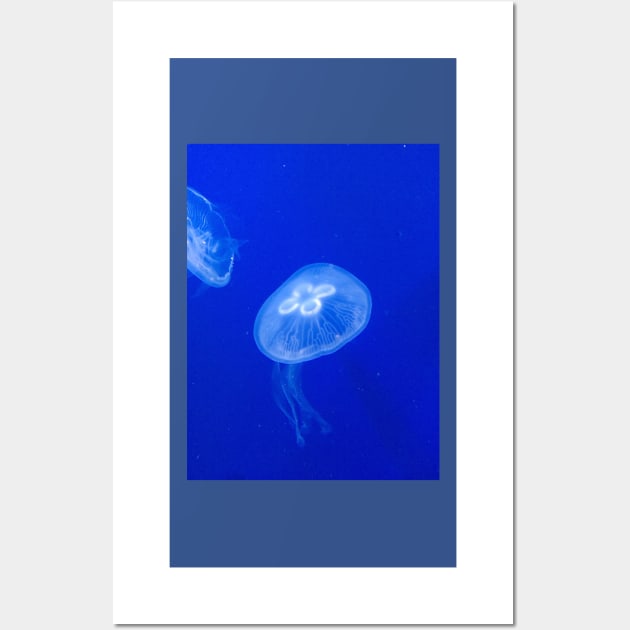 Jellyfish Wall Art by marisaj4488